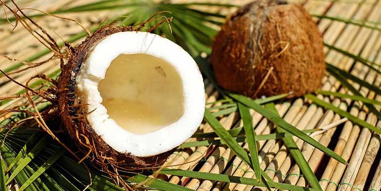 Coconut