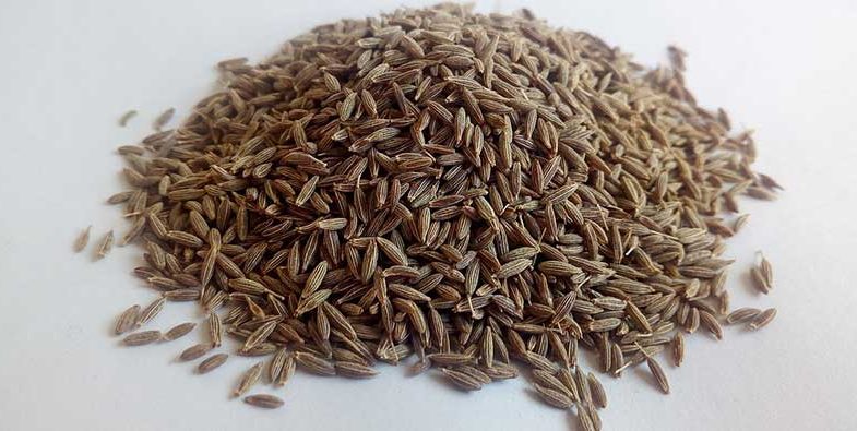 Cumin seed