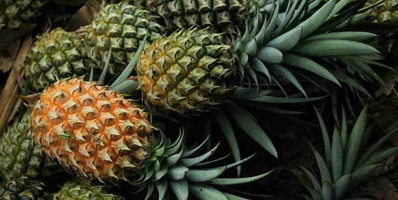 Dried-Pineapples