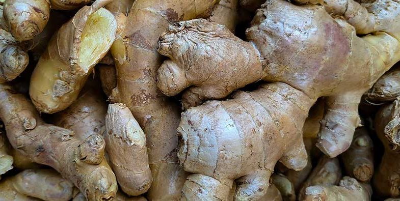 Ginger