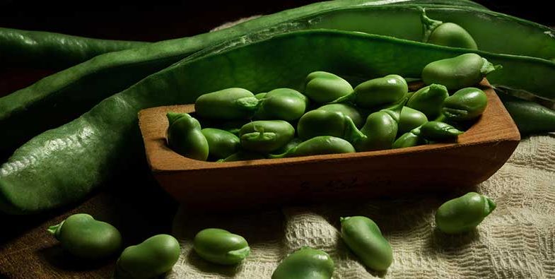 Lima-Beans