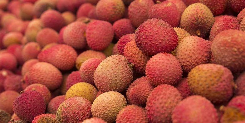 Lychee
