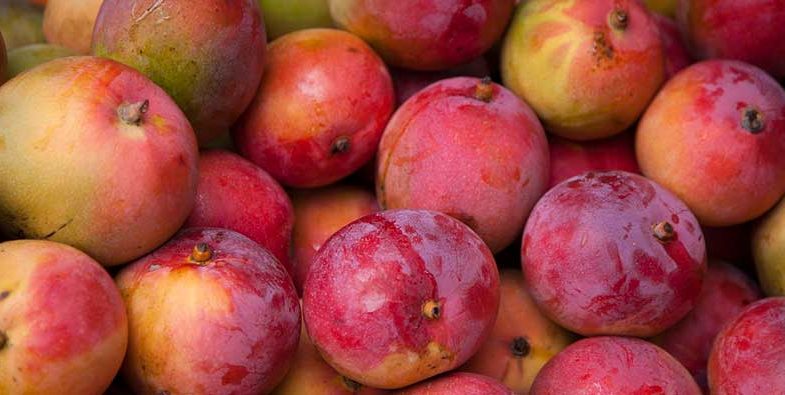 Mangoes