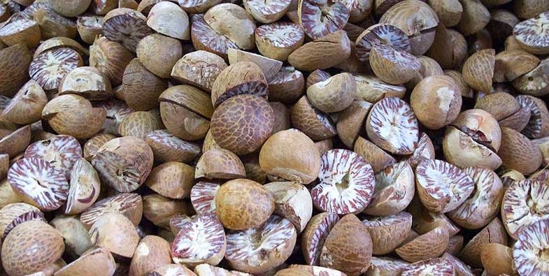 Nutmeg