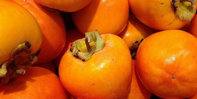 Persimmons
