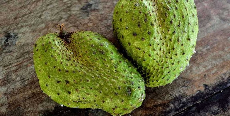 Soursop